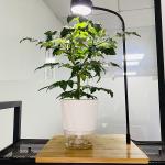 Does this light come with a warranty?