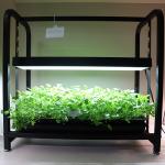 How energy-efficient is the LED lighting?