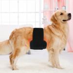 Is the therapy belt safe for all pets?