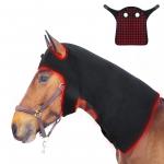 What is Red Light Therapy and how does it benefit my horse?
