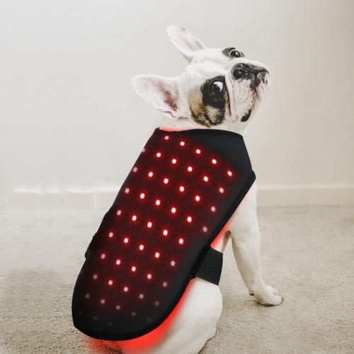  HL-DOG74