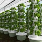 How many plants can this tower hold?