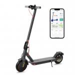 What is the maximum weight capacity?