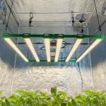L983*W902mm 480W Full Spectrum LED Grow Light Samsung LM281B+ Pro 3000K mix 5000K Epistar 660nm UV IR Is the light dimmable?