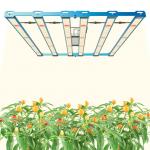 L983*W902MM 600W LED Grow Light Samsung LM301H EVO+OSR (660nm+730nm)+LG UV for Tent 4'X4' / 5'X5' Does this light support dimming?