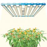 L1125mm*W902mm 800W LED Grow Light Samsung LM301H EVO OSR 660/730nm 320pcs/barx8 total 2560LEDs Can the light spectrum be adjusted?