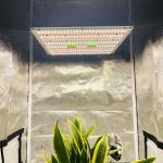 What is the lifespan of this grow light?