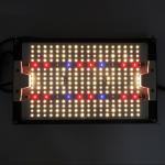 Can I use this light in a small grow tent?