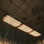 What is the lifespan of this grow light?