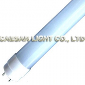 20W Frosted Tube LED T10