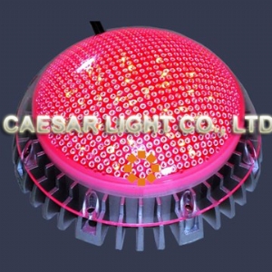 150mm LED Point Light