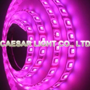 Moistureproof 300pcs 5050 RGB LED Strip